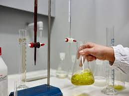 Dal 24 novembre il nuovo regolamento europeo sull’olio di oliva: le novità per i laboratori